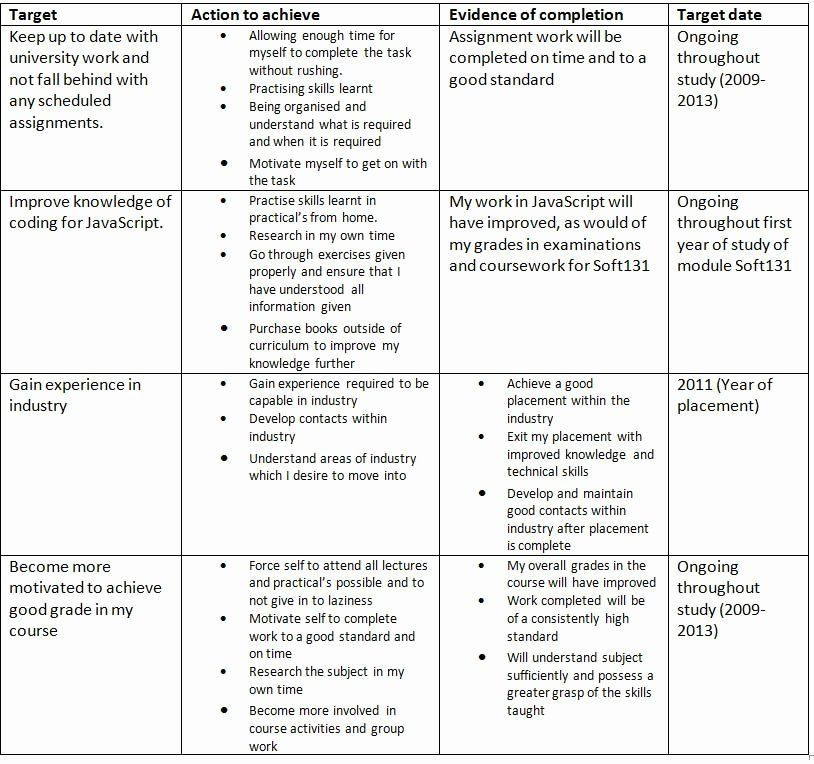 20 10 Year Career Plan Template