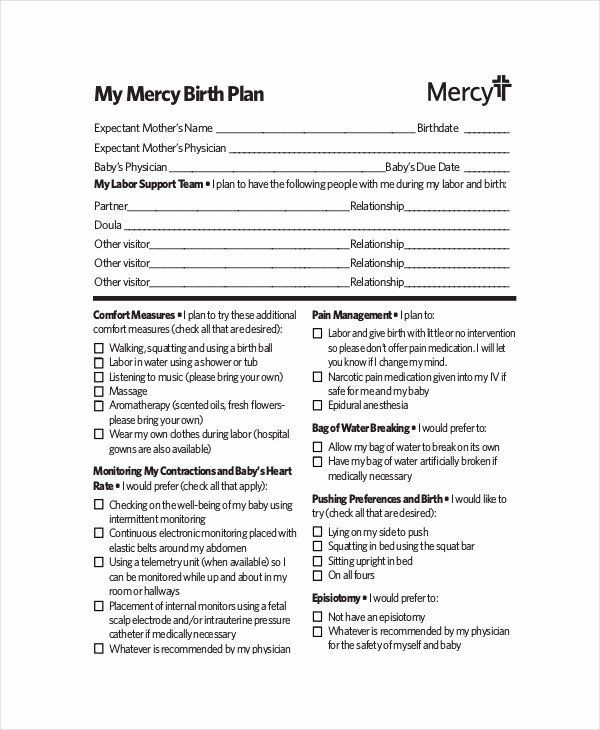 Birth Plan Template Word Document Birth Plan Template Word Doc Luxury Birth Plan Template 9
