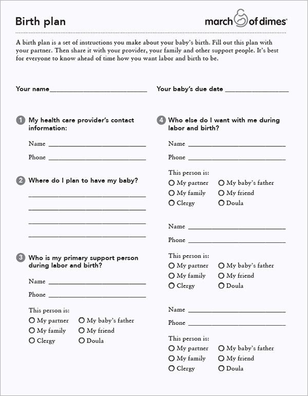 Birth Plan Template Word Document Pin On Birthing Plans