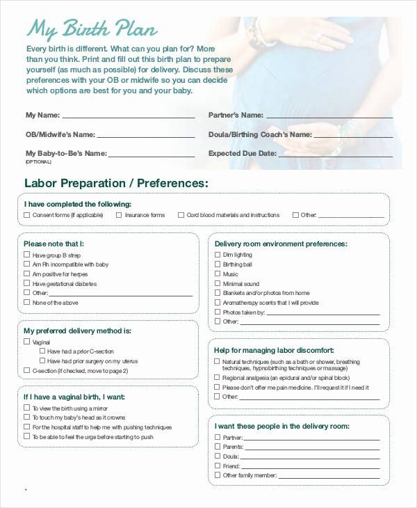Birth Plan Template Word Document Printable Birthing Plan Template Unique Birth Plan Template
