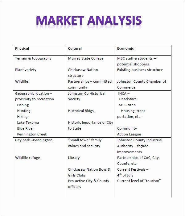Business Analysis Plan Template Business Analysis Plan Template Beautiful Free 17 Market