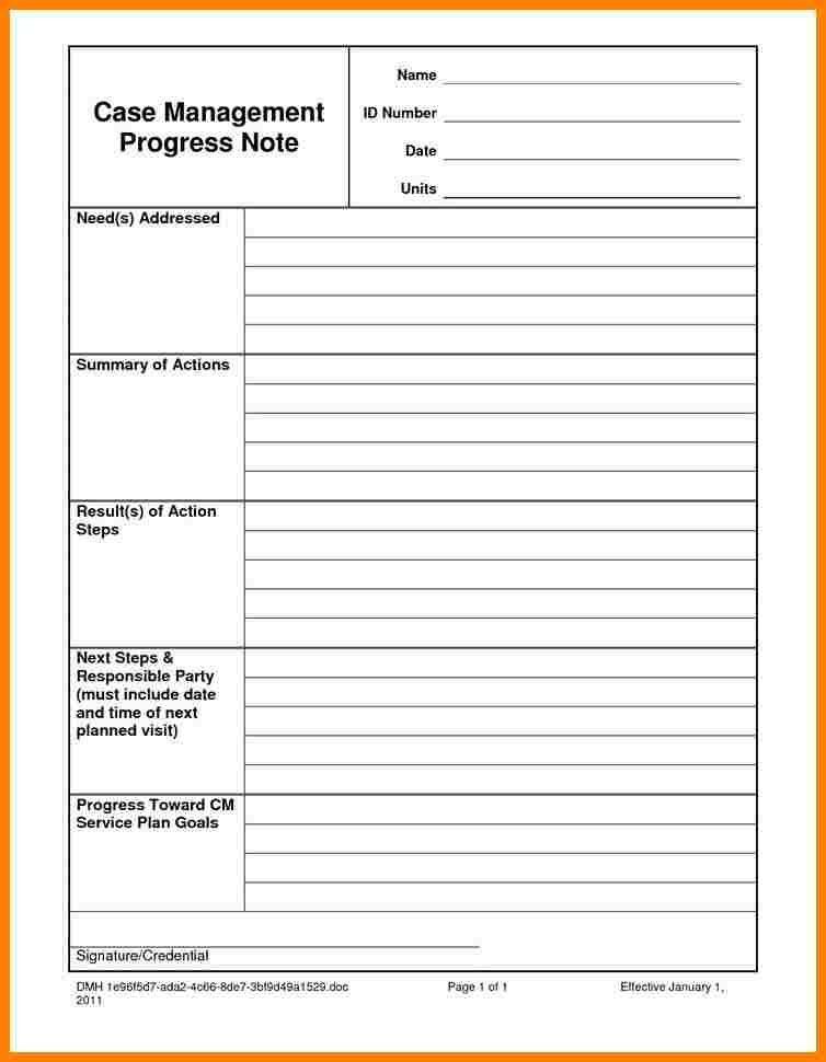 20 Case Management Plan Template