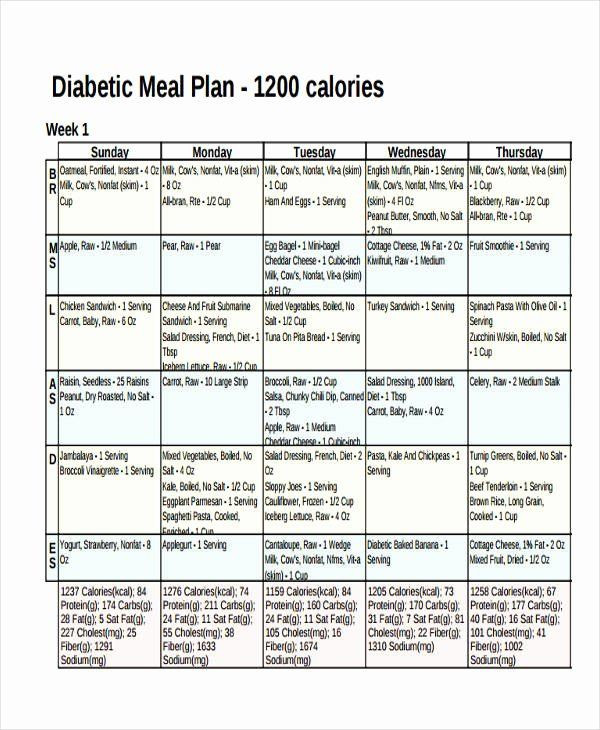 Diabetes Meal Planner Template Diabetic Meal Planning Template Fresh 10 Meal Plan Examples