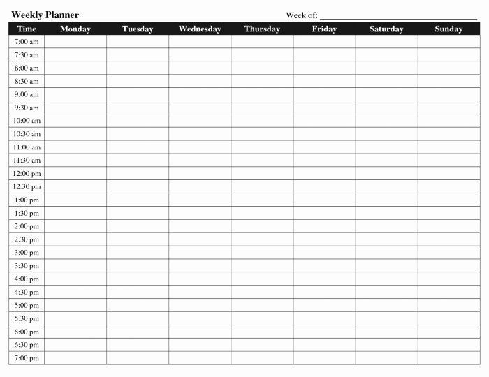 Hourly Planner Template Weekly Hourly Planner Template Awesome Weekly Hourly