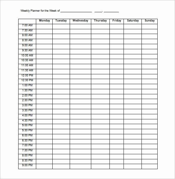 Hourly Planner Template Weekly Hourly Schedule Template Lovely Weekly Hourly Planner