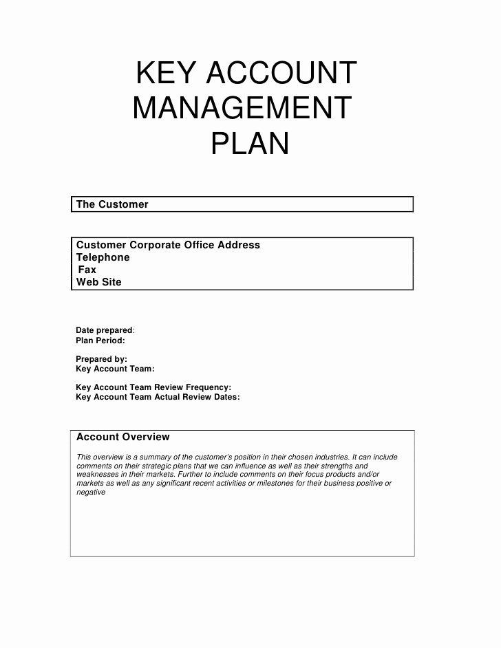 Key Account Plan Template Strategic Account Planning Template Best Key Account