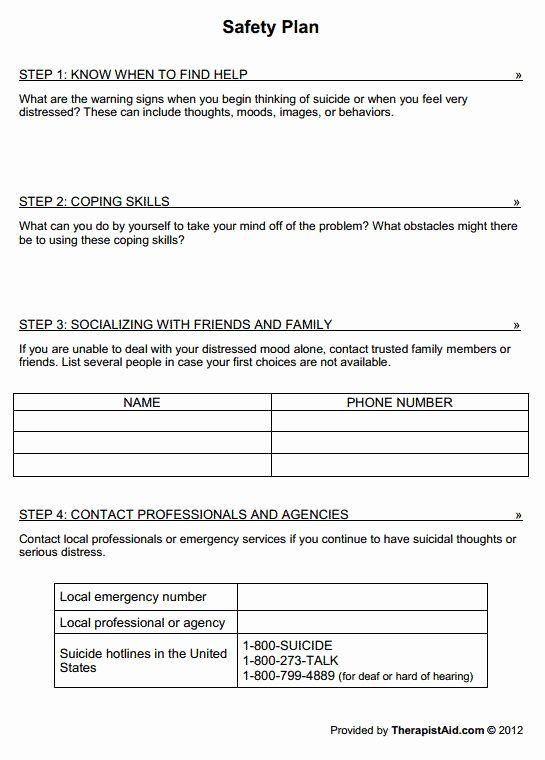 Mental Health Safety Plan Template Pin On Examples Business Plan Templates
