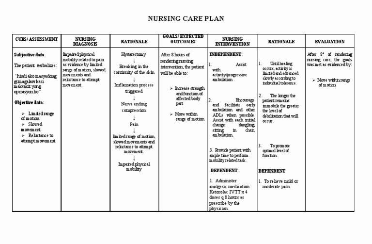 Nursing Care Plans Template Pin On Example Plans Template