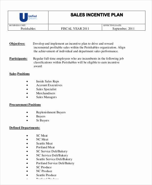 Performance Incentive Plan Template Incentive Plan Template Beautiful 33 Free Plan Templates