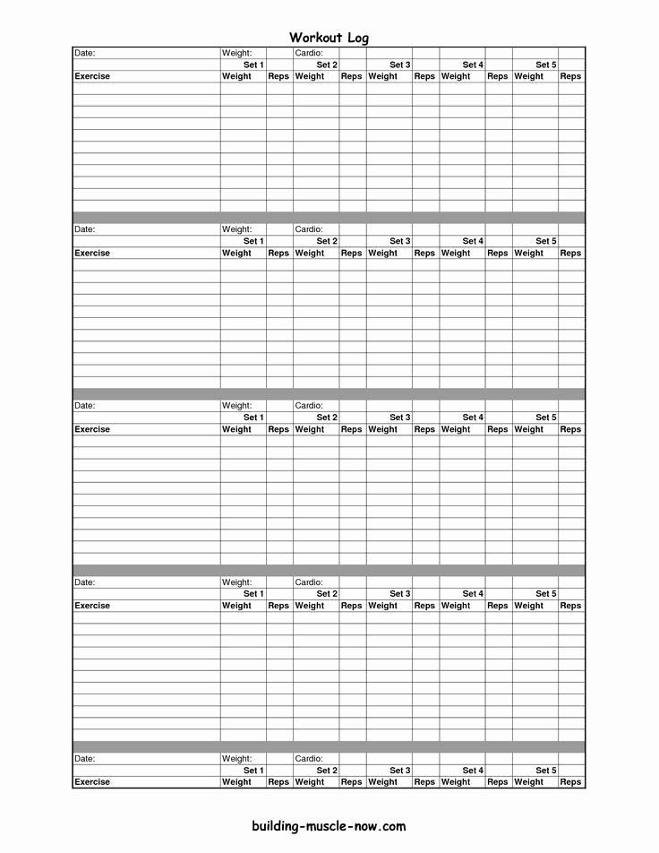Personal Trainer Workout Plan Template Personal Trainer Workout Plan Template Elegant Image Result
