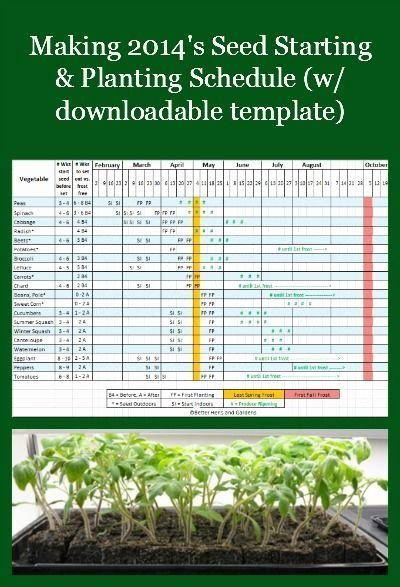 Plant Feeding Schedule Template Pin On Examples Daily Work Plan Templates