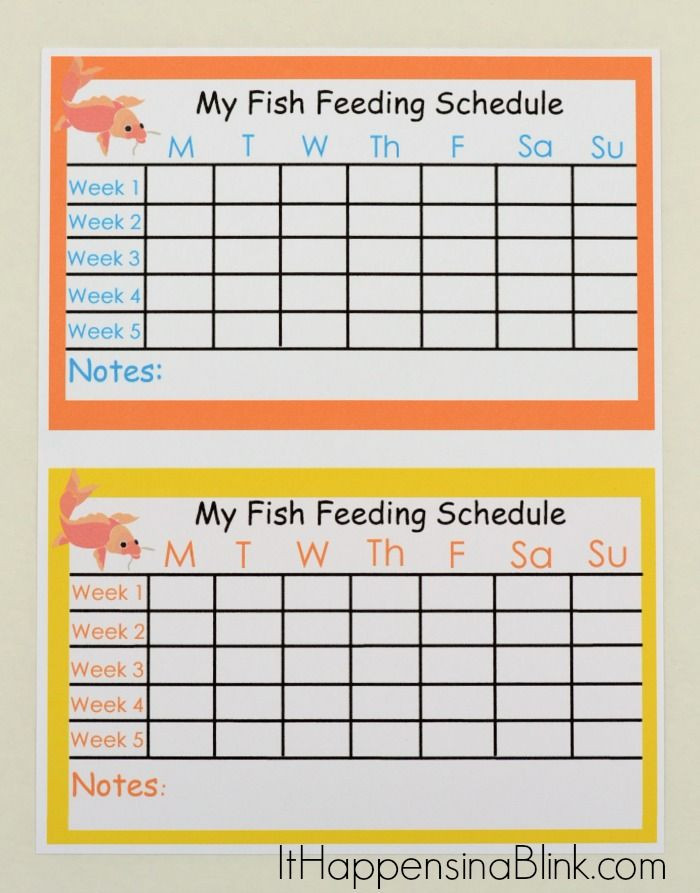Plant Feeding Schedule Template Pin On the Daily Blog Boost