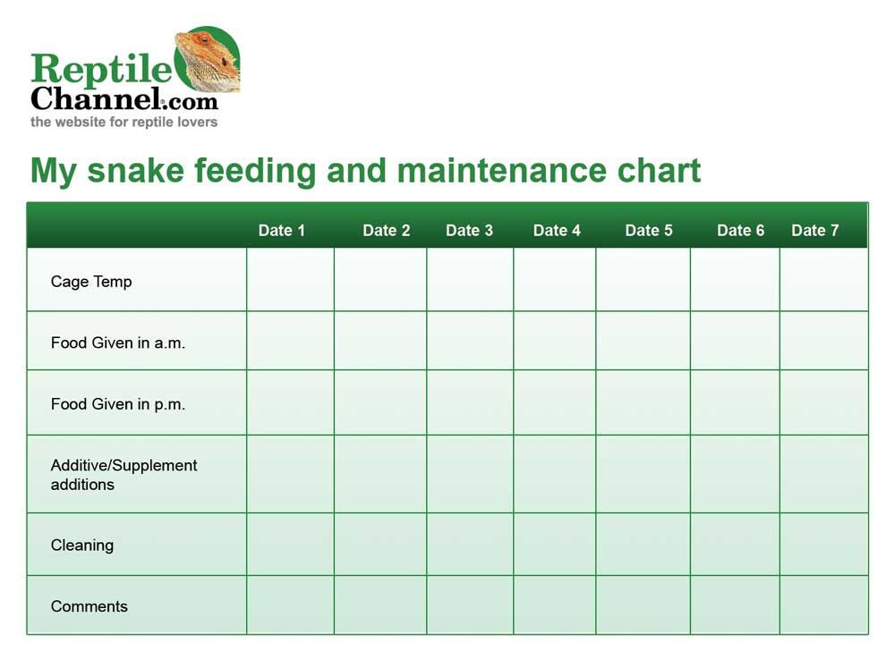 Plant Feeding Schedule Template Print Out This Free Snake Feeding and Maintenance Chart to