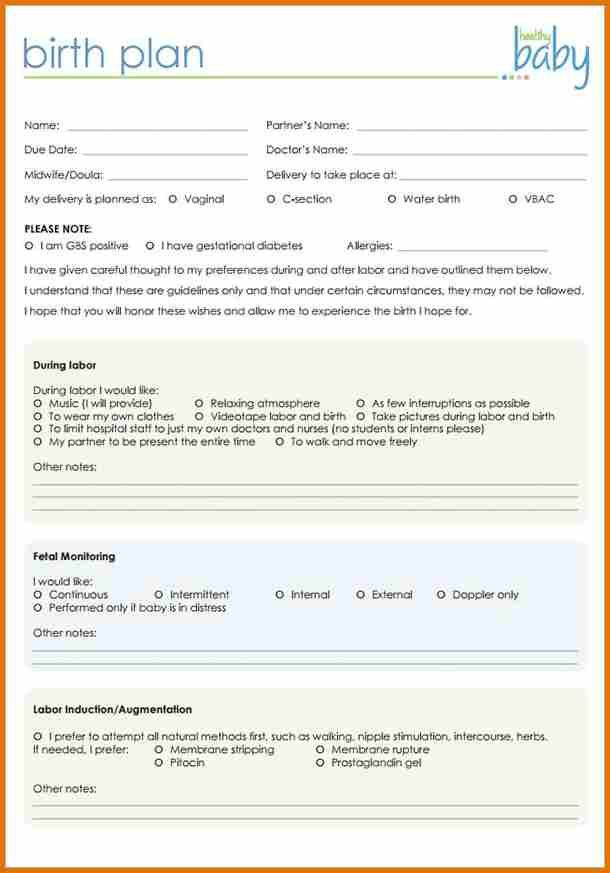 Printable Birth Plan Template Birth Plan Template 20 Download Free Documents In Pdf
