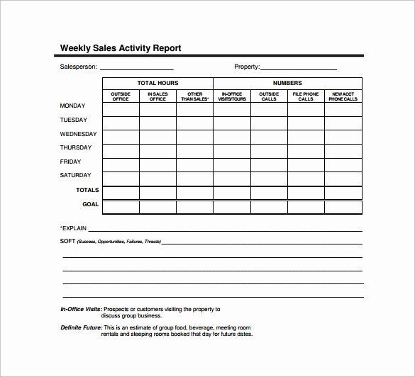 Sales Call Plan Template Sales Activity Report Template New Sample Sales Report
