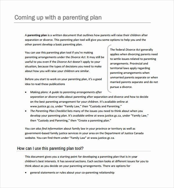 Sample Parenting Plan Template Free Parenting Plan Template Download Inspirational Sample