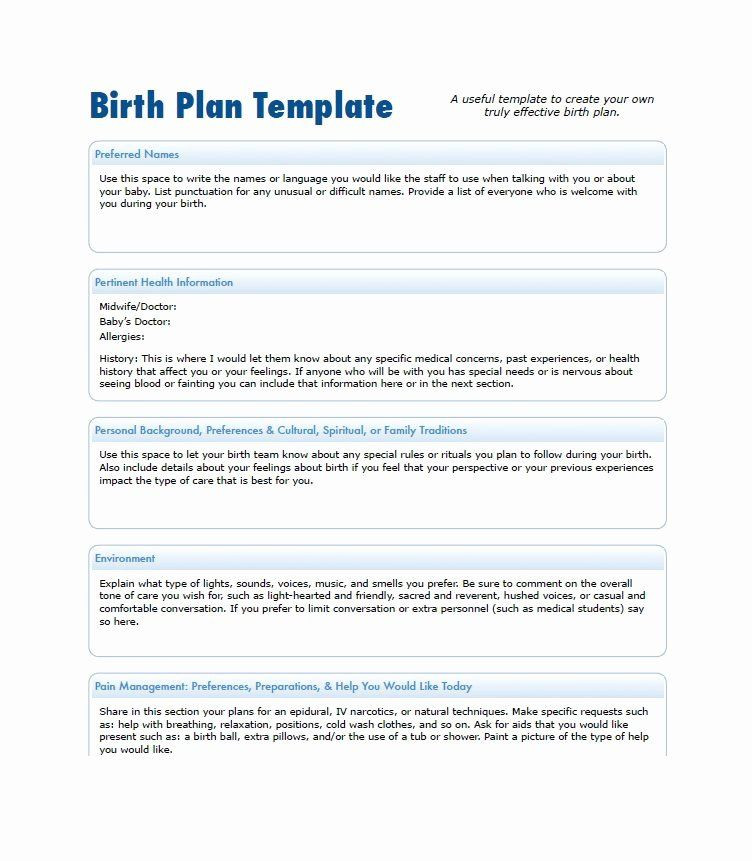 Simple Birth Plan Template Printable Birth Plan Template Inspirational 47 Printable