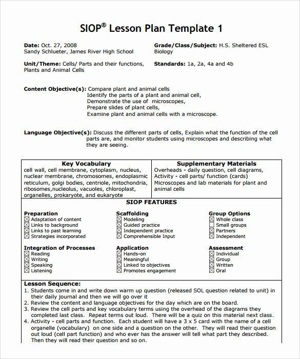 Siop Lesson Plan Template 3 Siop Lesson Plan Template 3 Fresh Search Results for “sample