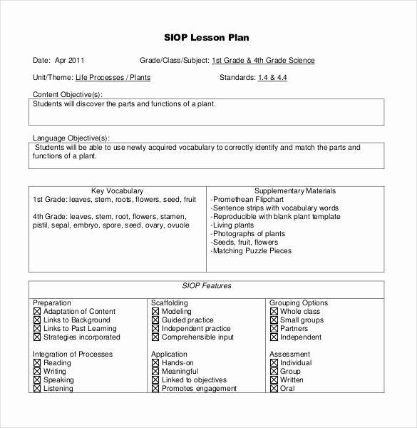 Small Group Lesson Plans Template Siop Lesson Plan Template 1 Luxury 50 Lesson Plan Templates