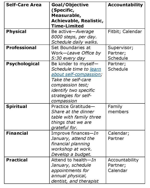 20 Social Work Care Plan Template