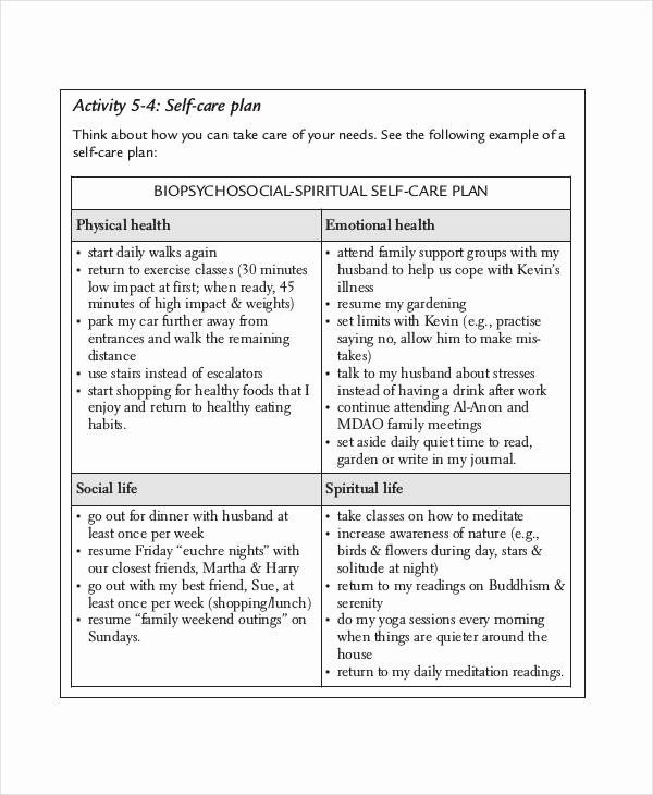 Social Work Care Plan Template Self Care Plan Template Inspirational Care Plan Template 16