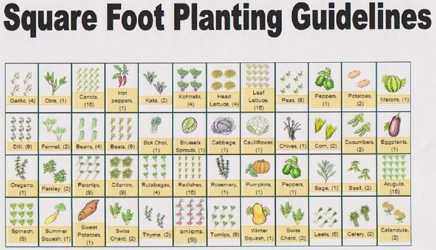 Square Foot Garden Planting Template Laying Out Your Square Foot Garden Good Morning From the