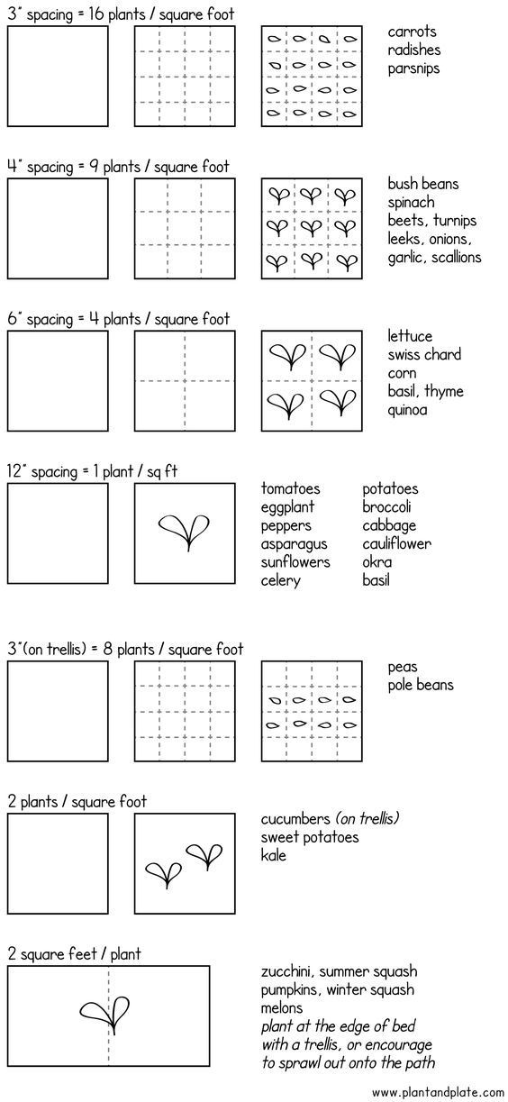 Square Foot Garden Planting Template Square Foot Garden Spacing Guide