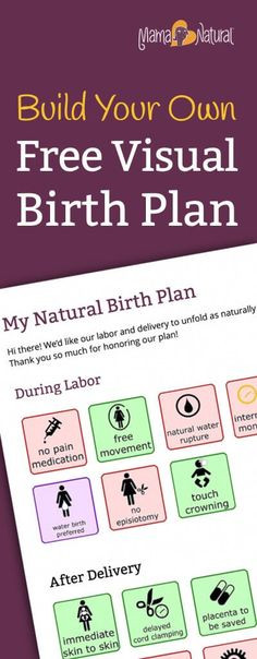 The Bump Birth Plan Template Birth Plan for Twins