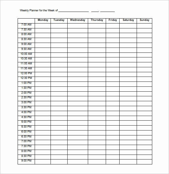 Week Planner Template Word Weekly Schedule Template with Hours Beautiful 9 Family