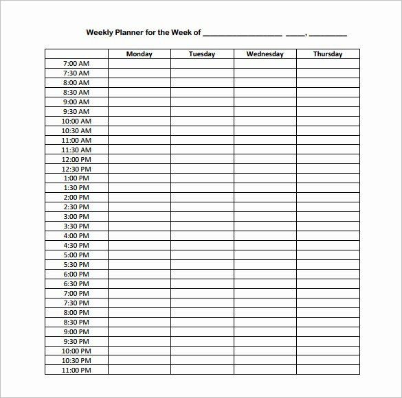 Weekly Hourly Planner Template Excel Weekly Hourly Planner Template Inspirational Hourly Schedule