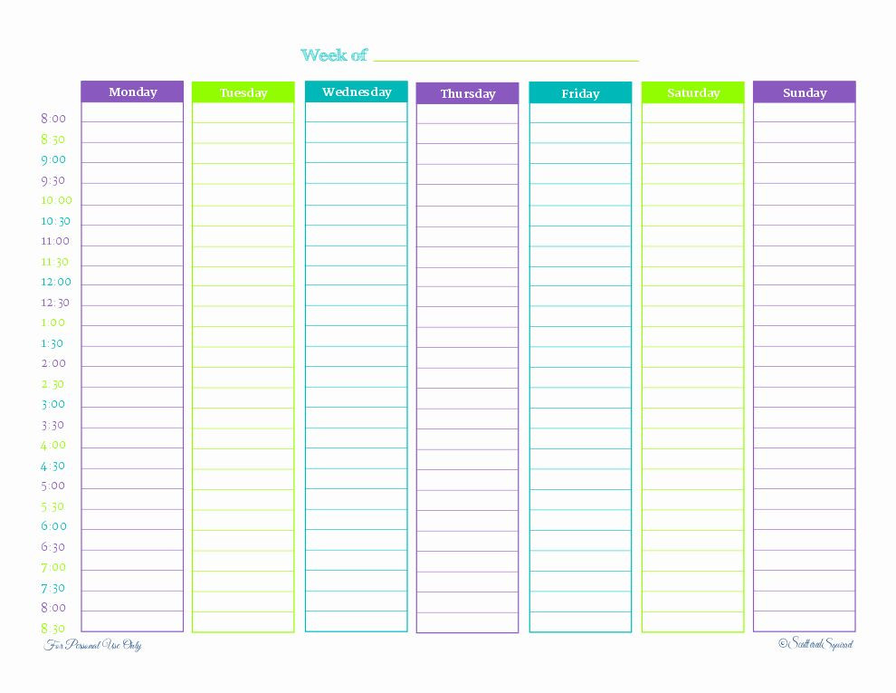 Weekly Hourly Planner Template Weekly Hourly Planner Template New 8 Best Hourly Day