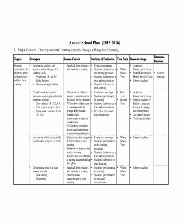 Yearly Plan Template for Teachers Annual Work Plan Template Awesome 37 Work Plans In Word In