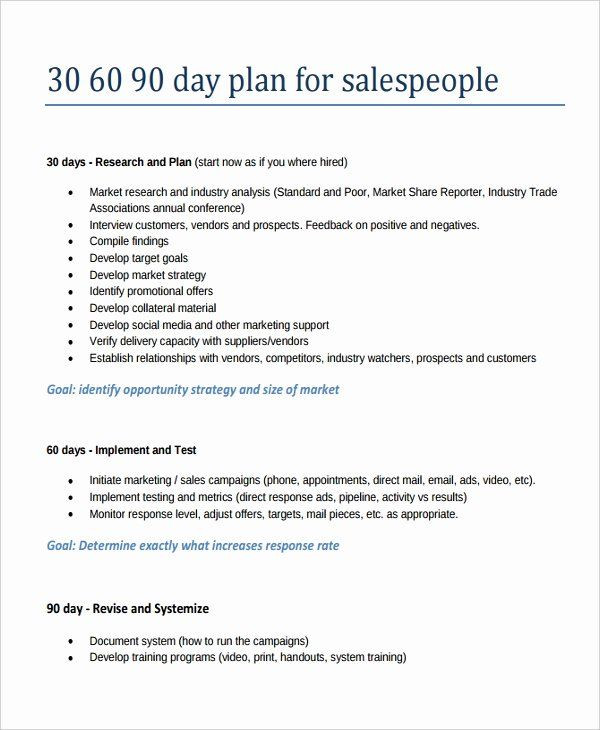 30 Day Action Plan Template 90 Day Action Plan Template Beautiful 21 30 60 90 Day Action