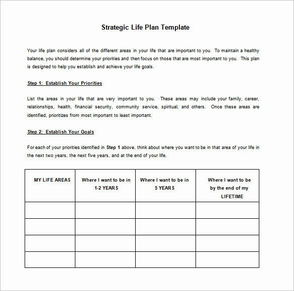 5 Year Life Plan Template Action Plan Template Word Inspirational Strategic Action