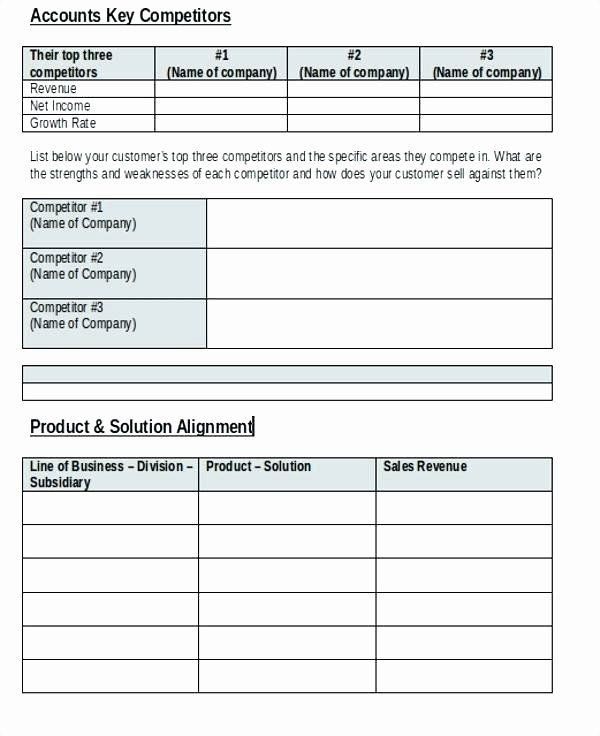 Account Plan Template Account Management Plan Template Awesome Key Account