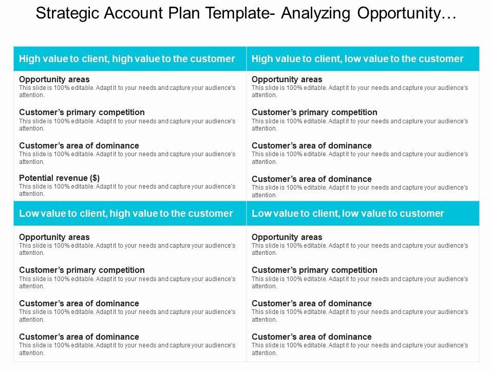 Account Plan Template Ppt Strategic Account Planning Template Unique Strategic Account