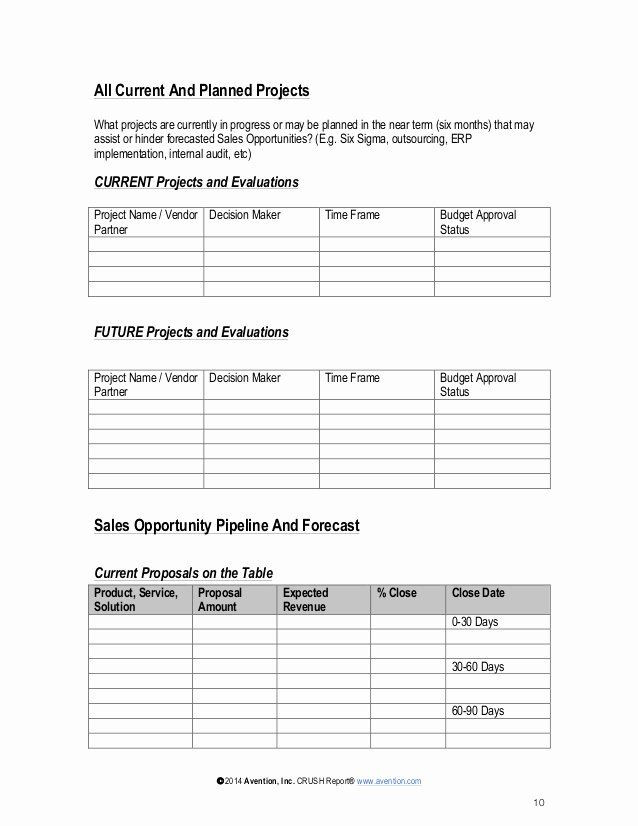 Account Plan Template Sales Account Plan Template Luxury Account Planning In