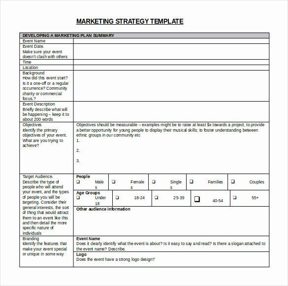 Account Plan Template Strategic Account Plan Template Best 10 Strategy
