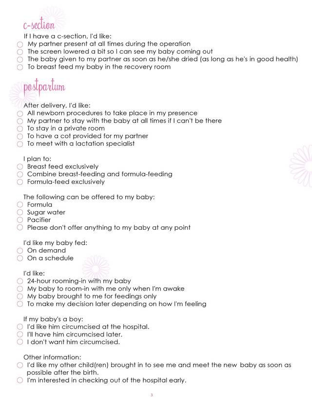 Best Birth Plan Template Pin On Birth Plan Templates Examples