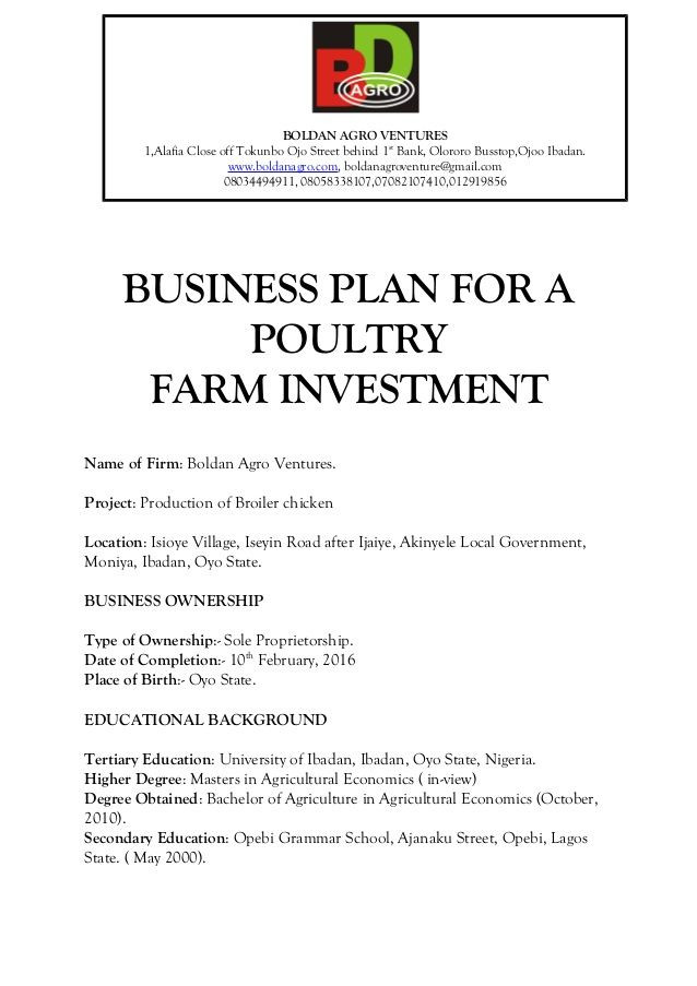 Best Business Plan Template 2016 Poultry Farming Business Plan In Nigeria Better Opinion
