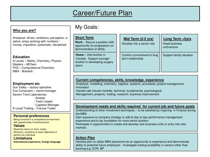 Career Plan Template Career Plan Example