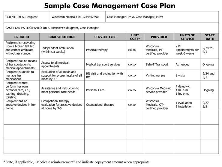 20-case-management-care-plan-template