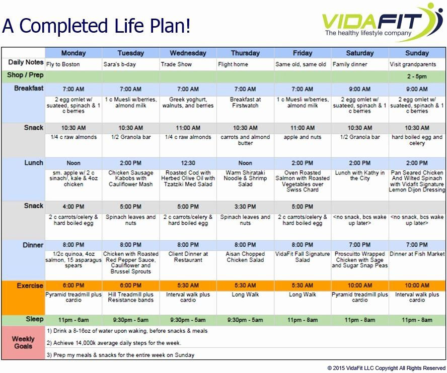 Creating A Life Plan Template 5 Year Life Plan Template Awesome Life Plan Template In 2020
