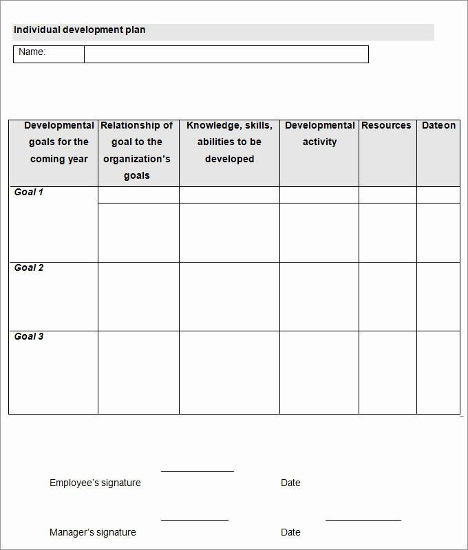 Employee Development Plan Template Excel Employee Development Plan Examples Inspirational Individual