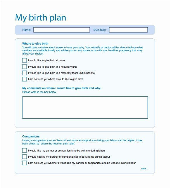 Free Birth Plan Template Sample Birthing Plan Template New Free 23 Sample Birth Plan