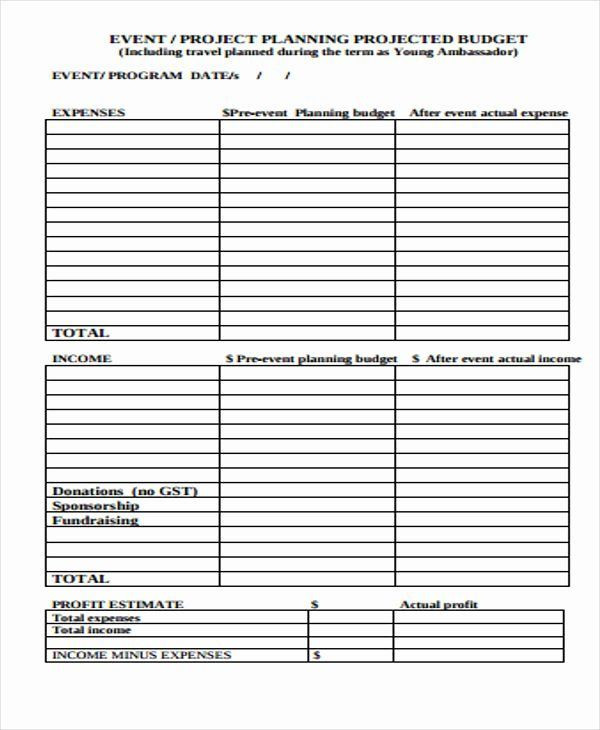Fundraising event Planning Template Fundraising event Planning Template Unique Fundraising Bud