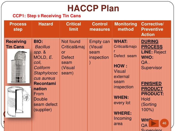 Haccp Food Safety Plan Template Haccp Plan Template
