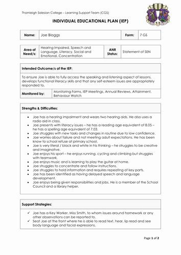 Individual Education Plan Template Individual Learning Plan Template Lovely Simple but