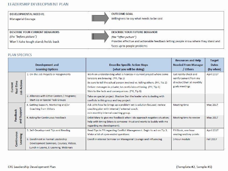 20 Leadership Development Plan Template – Simple Template Design