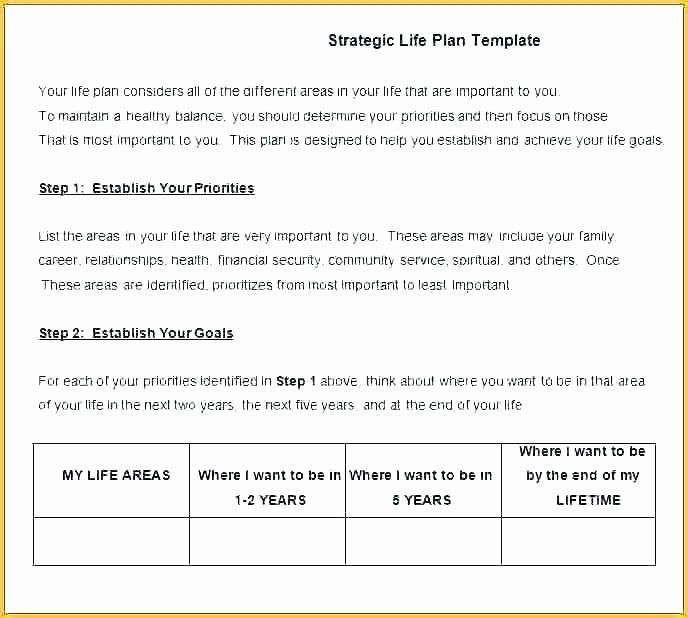 Life Plan Template Strategic Life Plan Template Luxury 5 Year Life Plan
